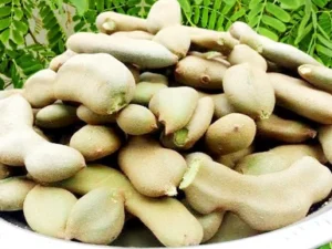 desi tamarind