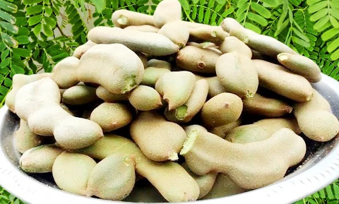 desi tamarind